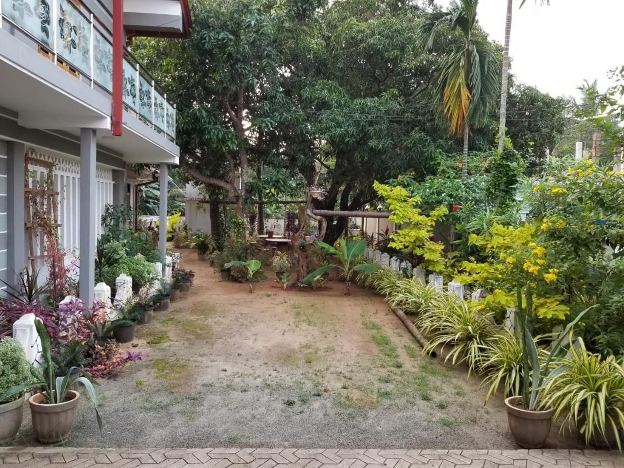 ג'פנה Berty'S Cottage מראה חיצוני תמונה