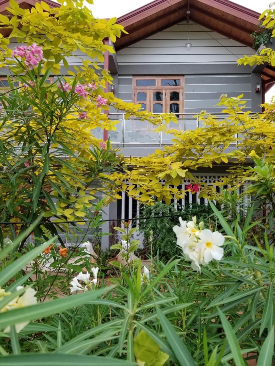 ג'פנה Berty'S Cottage מראה חיצוני תמונה