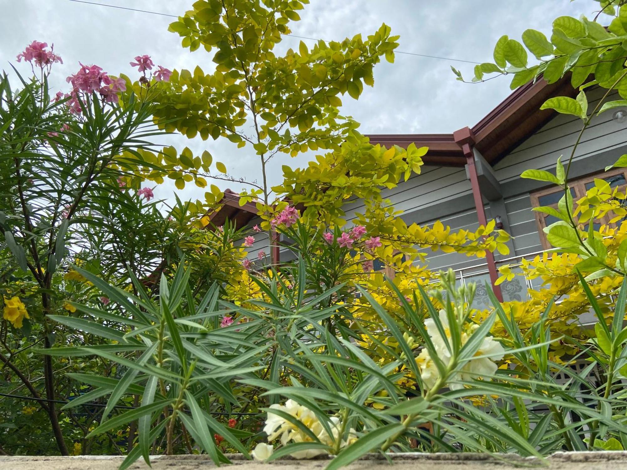 ג'פנה Berty'S Cottage מראה חיצוני תמונה
